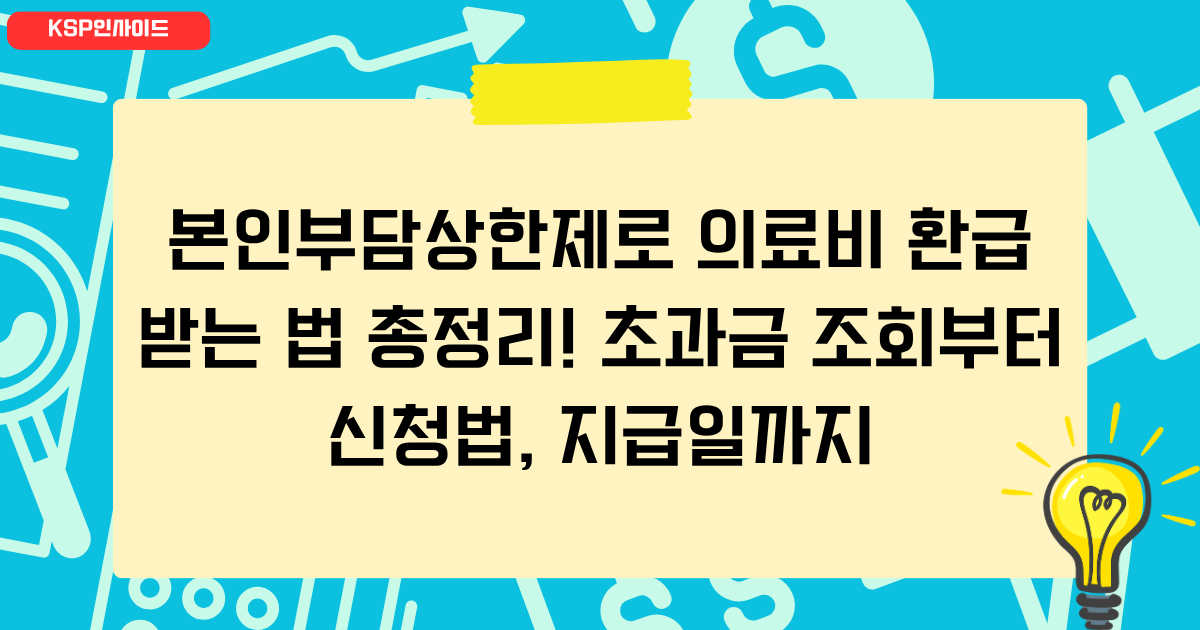 본인부담상한제로 의료비 환급받는 법 총정리! 초과금 조회부터 신청법, 지급일까지